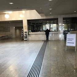 TBI im neuen Rathaus in Linz