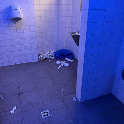 Drogenproblem im Linzer Volksgarten (WC Anlage) 